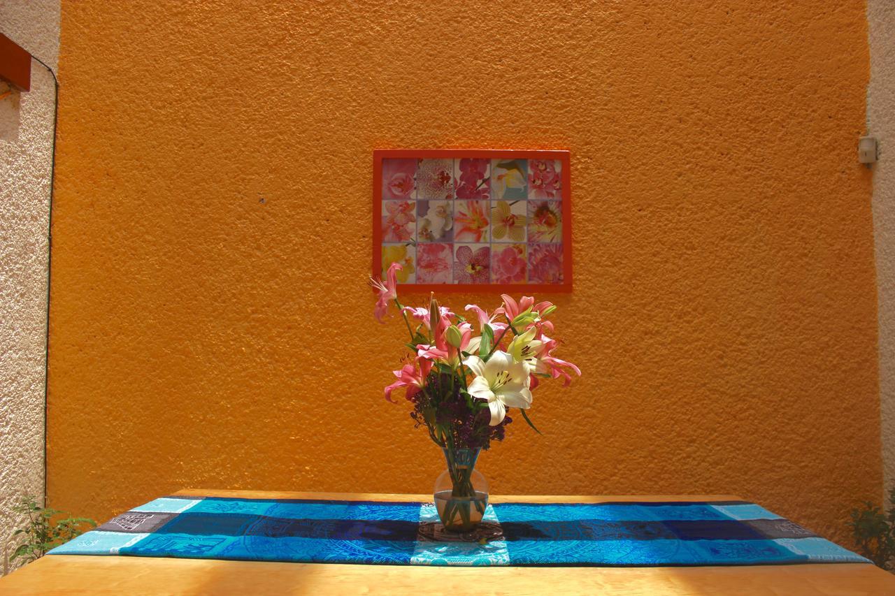 Casa Ayvar 墨西哥城 外观 照片